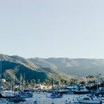 921开奖前后:揭秘幸运号码的诞生时刻 356b57wb8