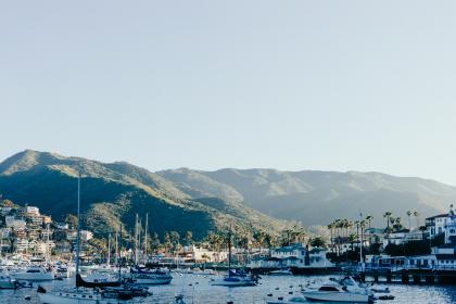 921开奖前后:揭秘幸运号码的诞生时刻