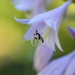 皇冠信用盘开户的注意事项与常见问题解答 3r82rzt08