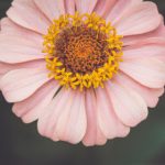 90足球比分网即时比分直播-全球赛事实时数据更新 782d9f9rxj