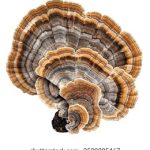 91开奖时间最新公布,敬请关注具体开奖日期 9lnedw7k1