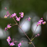 90体育直播:畅享高清赛事,点燃运动激情 b43rkx