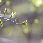 皇冠体育平台的优惠活动:如何获取更多彩金与奖励 cbx50aa