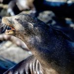 91直播网官方网站-高清流畅的在线直播体验平台 dv4qf