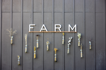 皇家平台官网政务公开资源与历史文化传播一站式资料总览