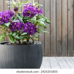 925直播体育:精彩赛事不间断,激情对决在线看! yu18vxi4