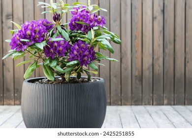 皇冠澳门品牌定位与市场策略在区域旅游中的应用分析