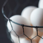 NBA虎扑独家直播:每日精彩赛事实时在线观看 os6lkumn3g