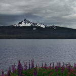 NBA美国直播:巅峰对决,见证传奇时刻 zw9tm89